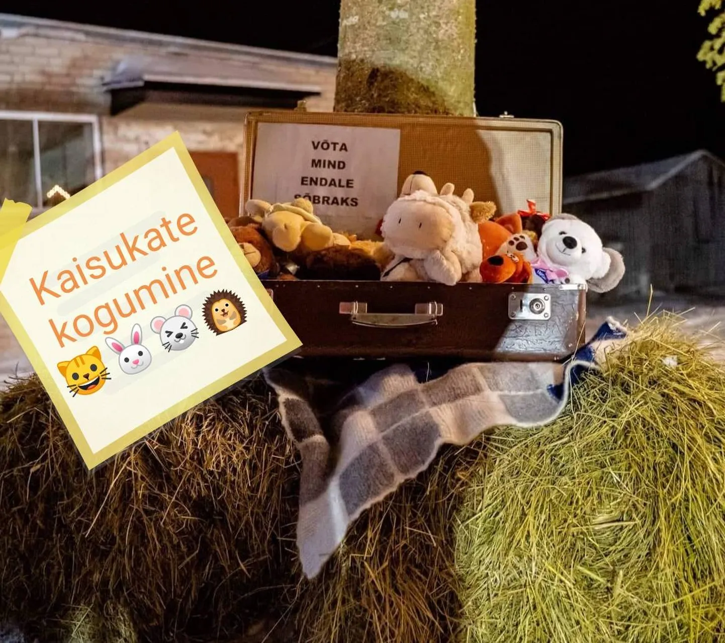 Eelmisel aastal leidsid Vao külas kogutud kaisukad koha suures kohvris ning kõik lapsed, kes tundsid, et tahavad omale sealt pehme sõbra võtta, võisid seda teha.