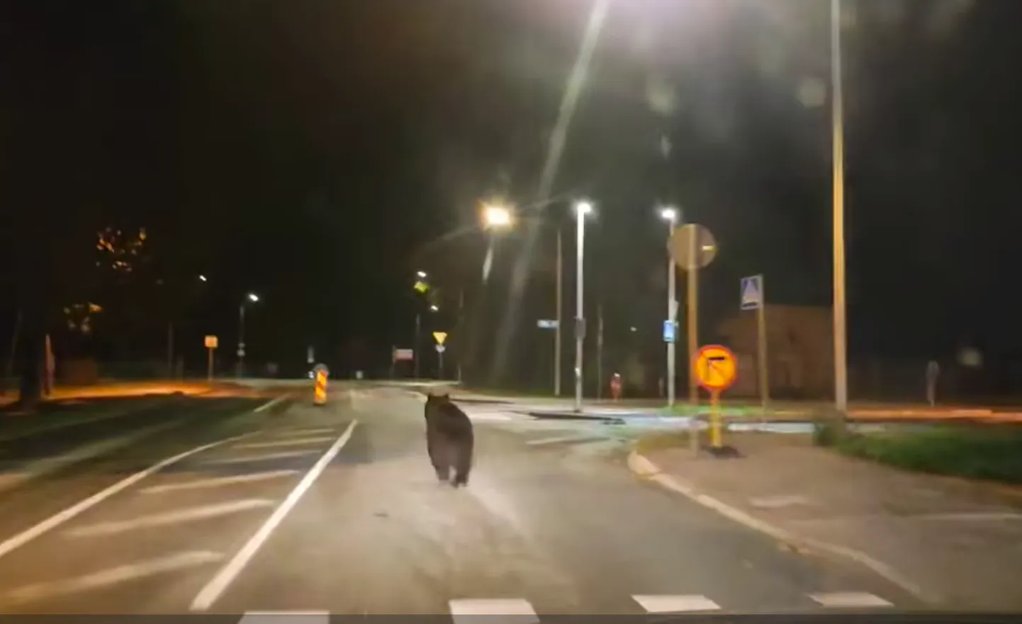 Tartu ielās svētdienas rītā manīts kāds aktīvs lācis.