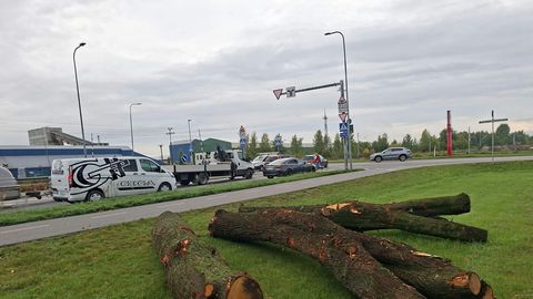 PÄEVAKÜSIMUS ⟩ Miks lebab Tartu linna servas haljasalal mitu puunotti?
