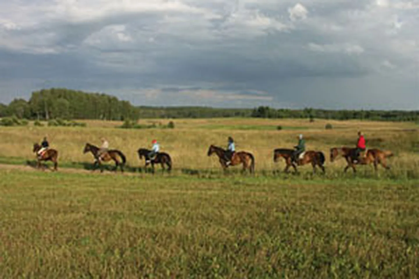 Raksta foto