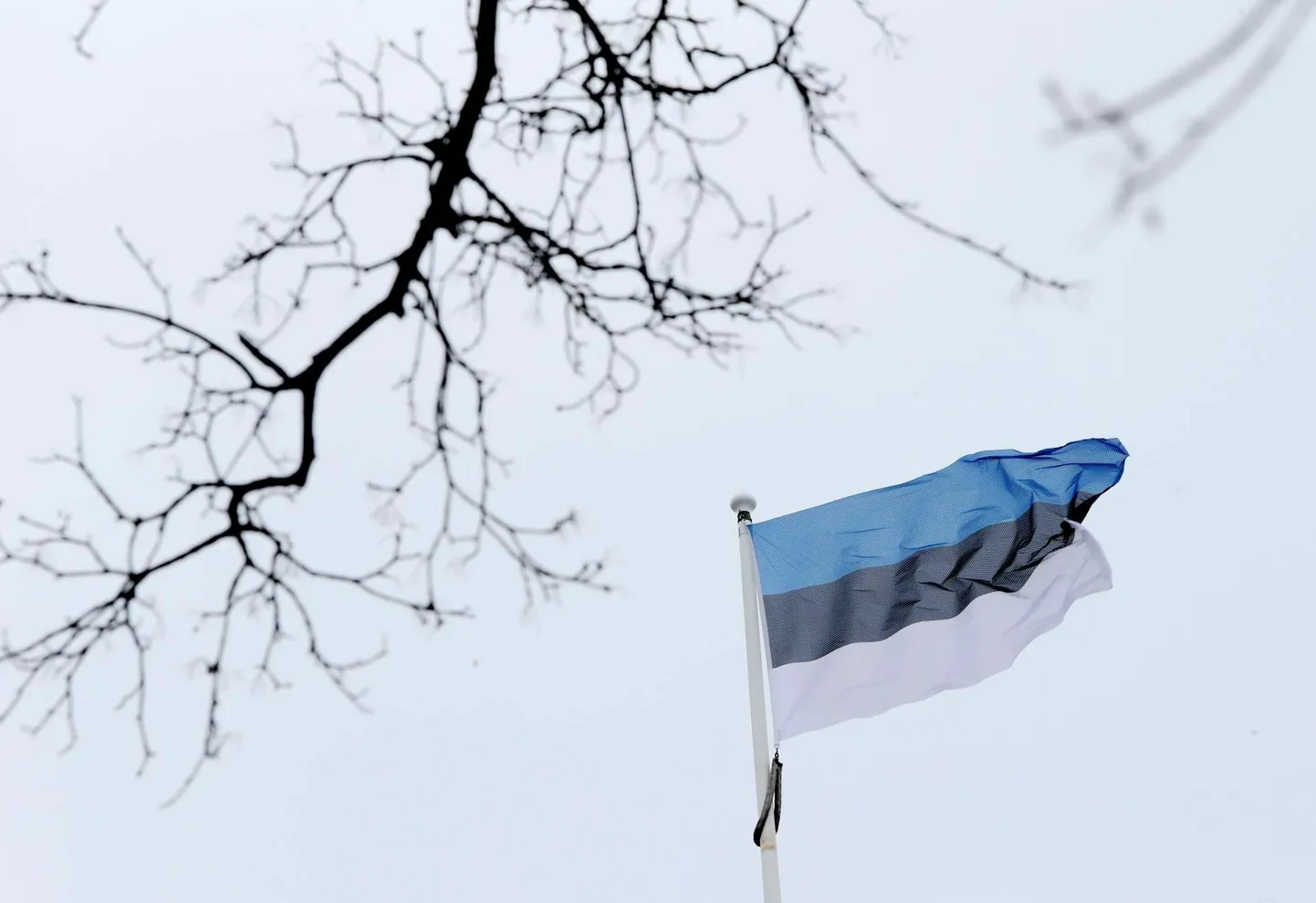 Sellest aastast on riiklikus tähtpäevade kalendris uus lipupäev: 30. jaanuar on Eesti kirjanduse päev.