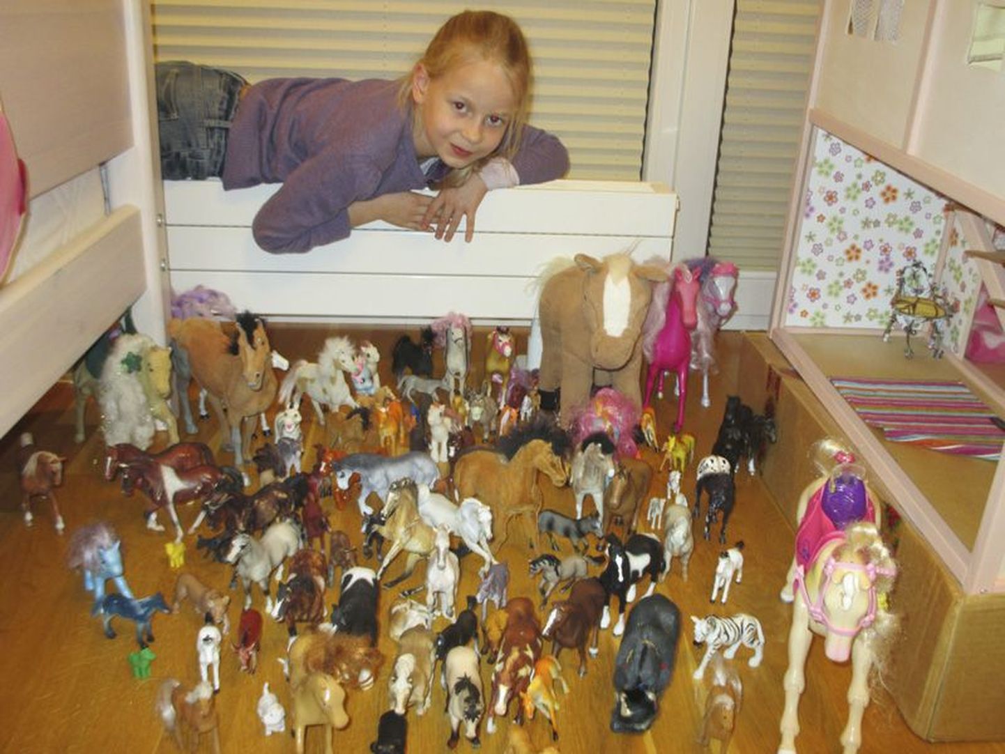 ke Iris Höövelson hakkas hobuseid koguma kaks aastat tagasi.