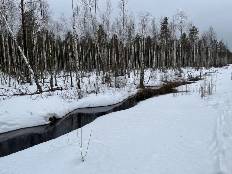 Soomaa on väga vesine, aga samas ka ainaadse loodusegaa kant. Kui meie tunneme nelja aastaaega, siis Soomaal on neid tervelt viis!
