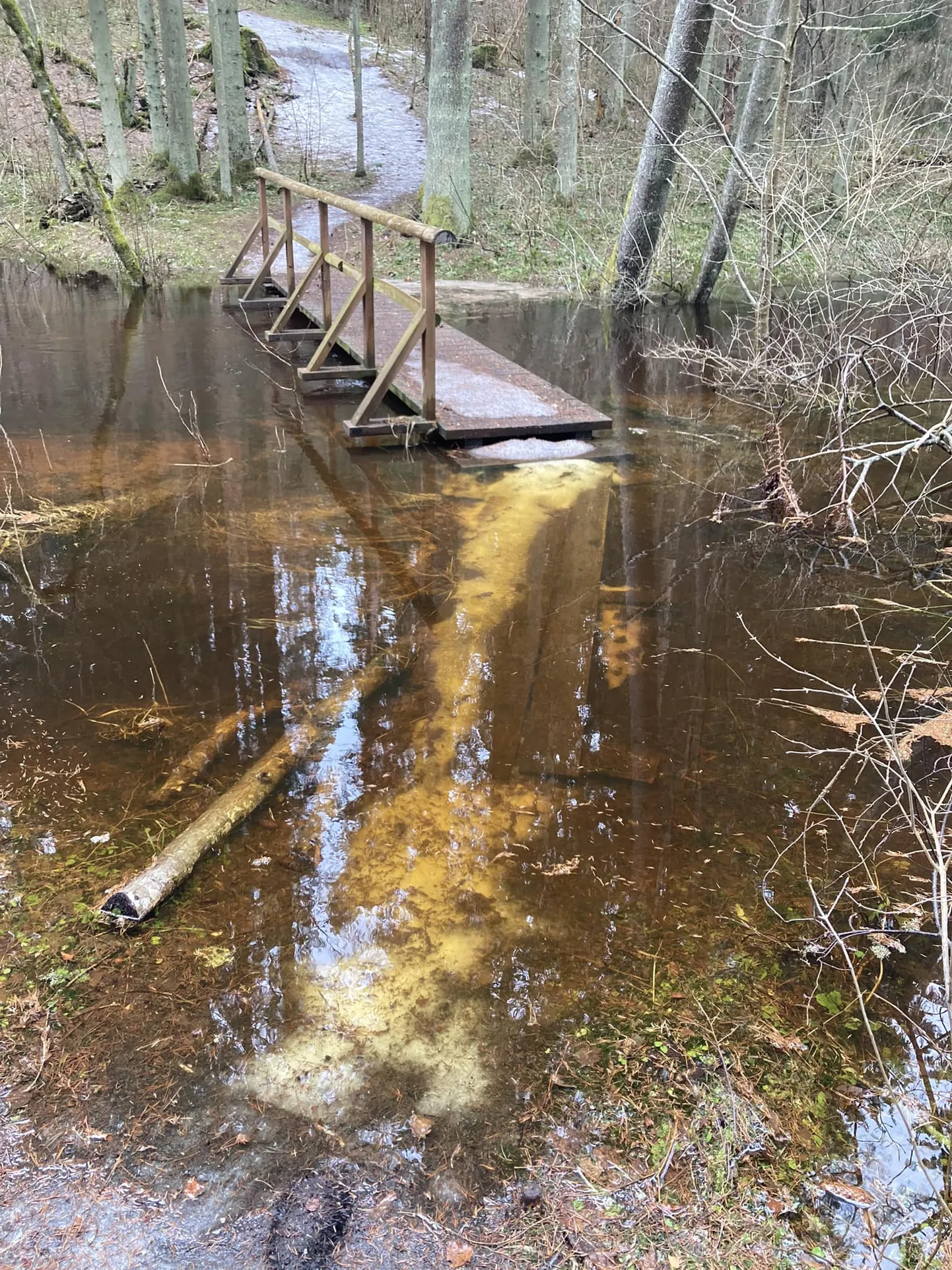 Kiidjärve kandis ei pruugi matka- või õpperada olla läbitav.