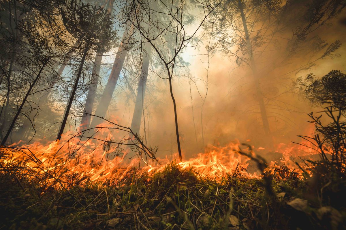 Kūlas un meža ugunsgrēks Jāņupē. Ilustratīvs attēls