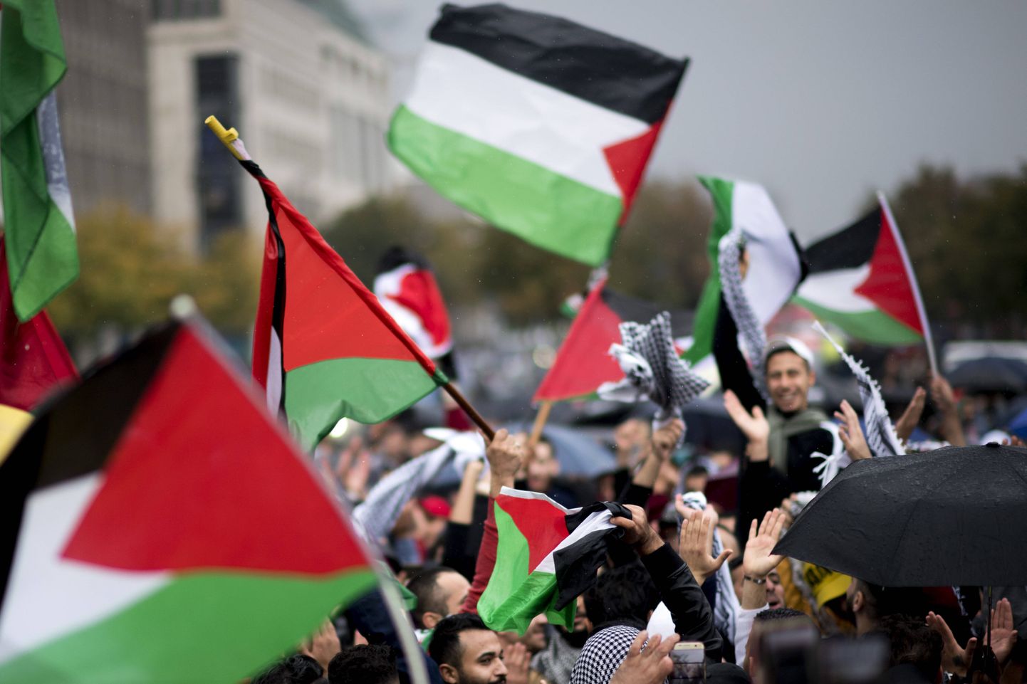 Palestiina lipud.