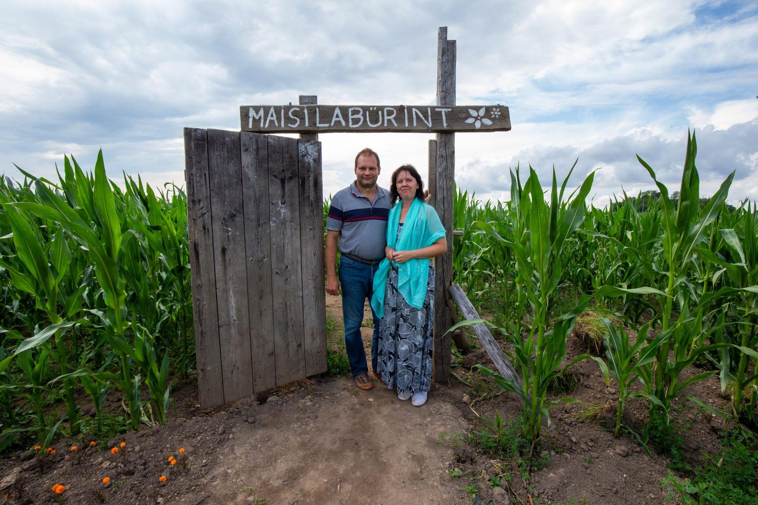 Maisipõllule seiklema: Kaspar ja Kristi Sakk ootavad juba üheksandat suve oma põllule külalisi, kes suudaks maisilabürindis õige tee üles leida.