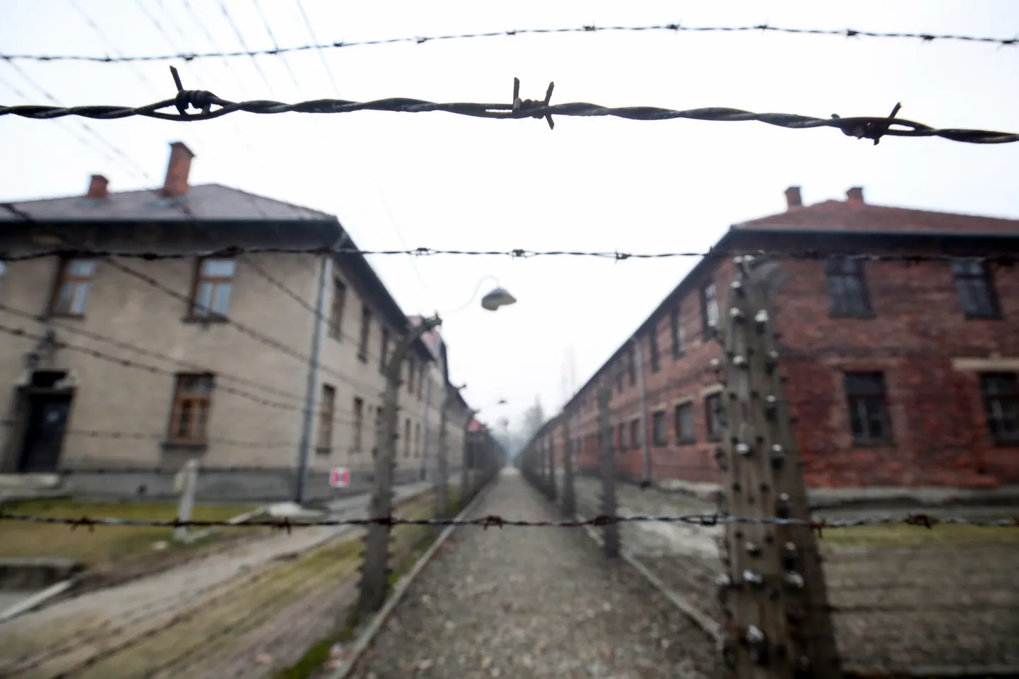 Auschwitzi koonduslaager 26. jaanuaril.