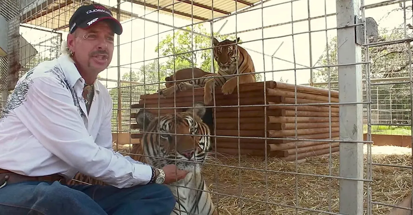 Joe Exotic ja tema loomaaia triibulised asukad. Kaader vastuolulisi tundeid tekitavast sarjast «Tiigrikuningas. Mõrv, mäss ja meeletus».