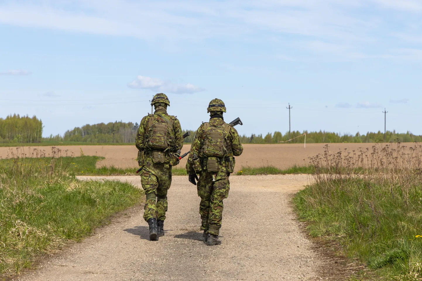 Illustreeriv foto kaitseväe aasta suurimalt õppuselt Siil.