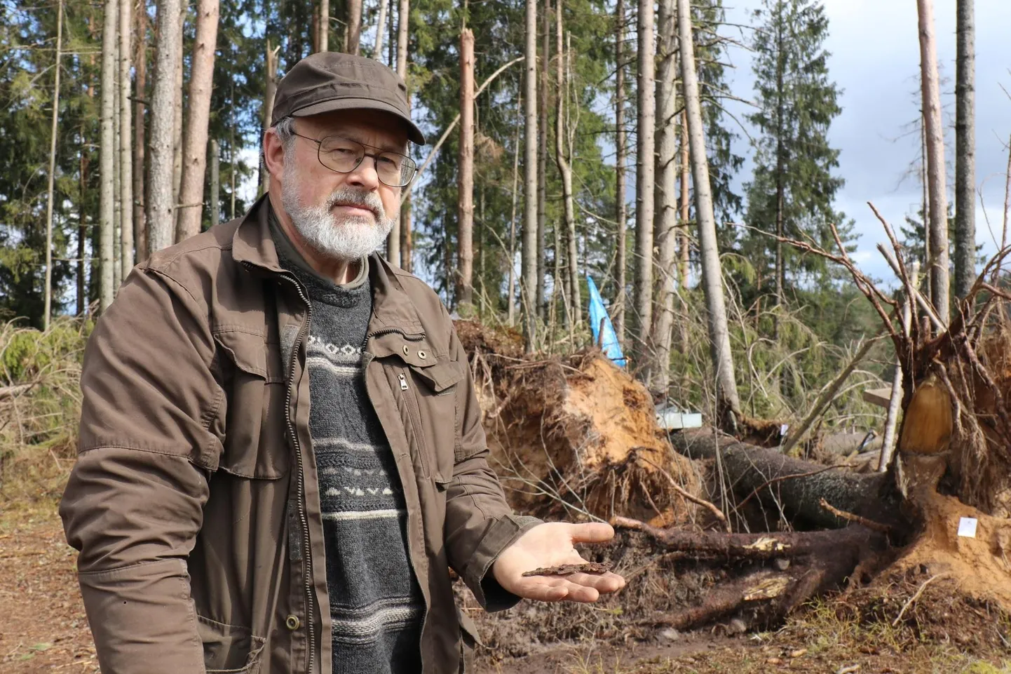 Heiki Valk ainsa metallileiuga, puujuurte alt välja tulnud ilmselt viikingiaegse noaga.
