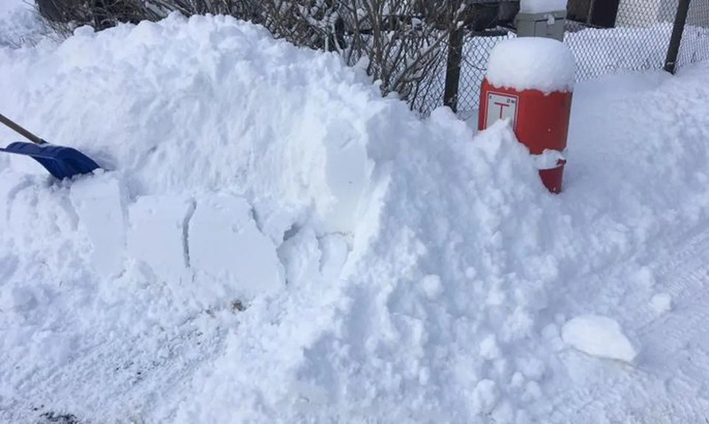 Puhasta veehüdrant lume alt välja.