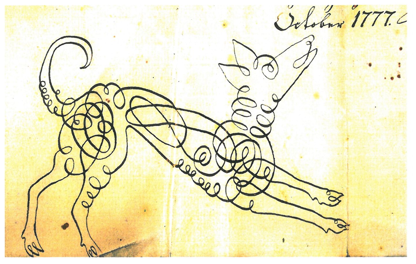 See koer on 1777. aastast ja pärit Tartust. Koer on joonistatud lihunikuselli Johann Eberhard Ulrichile Tartu lihunike tsunfti poolt 7. oktoobril 1777. aastal välja antud õppekirjale
