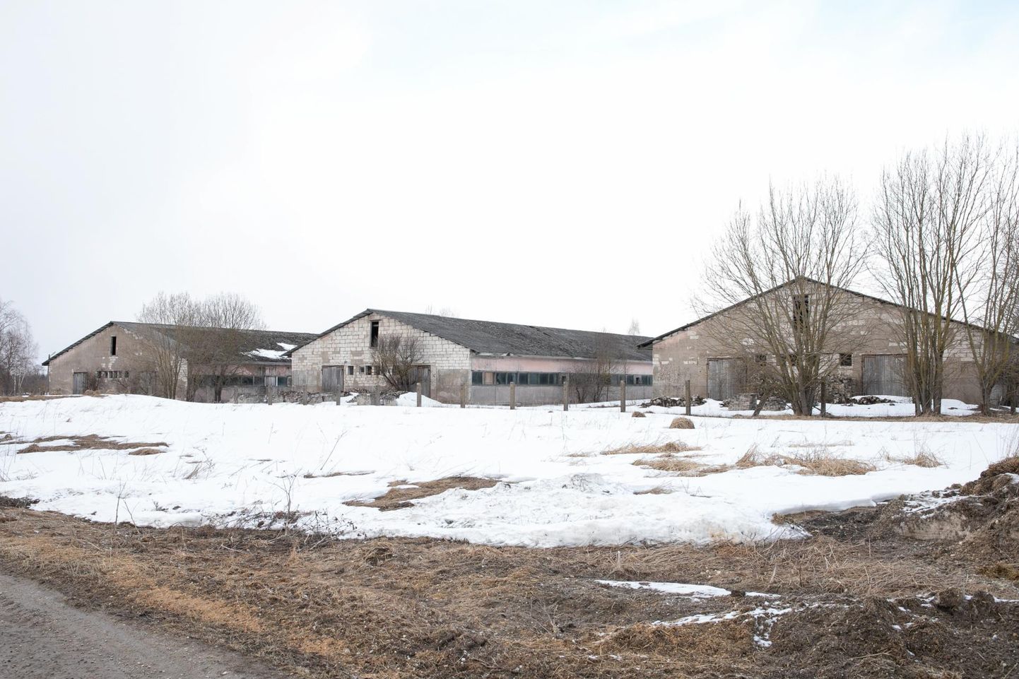 HKScan Estonia omanduses olev Tallegg plaanib Liivaküla vanad sigalad maha lammutada ja ehitada sinna kaasaegse broilerifarmi 480 000 linnule.