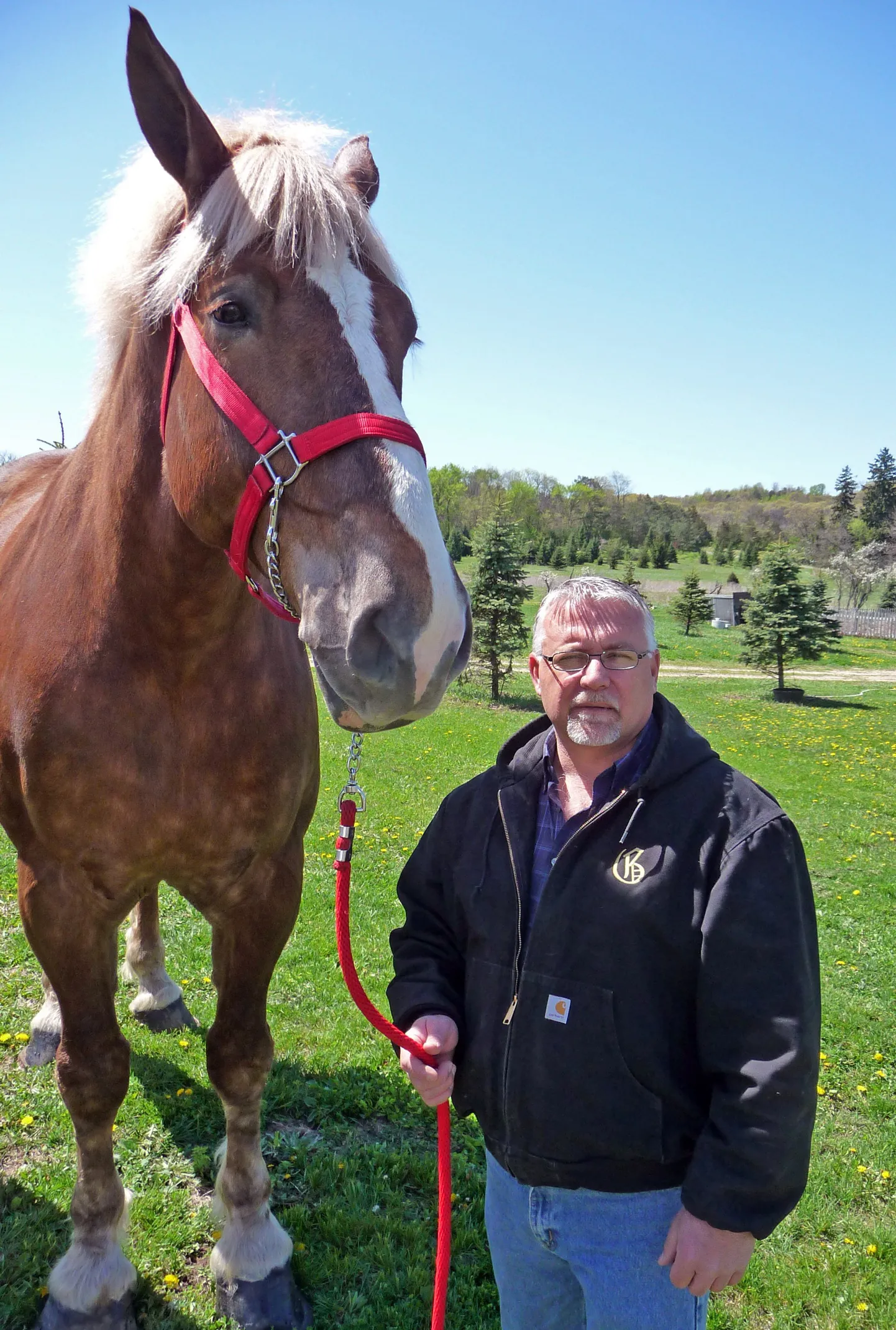 Maailma suurim hobune Big Jake ja omanik Jerry Gilbert