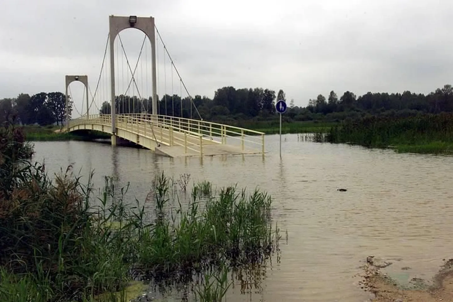 Tamula järv suurvee ajal aastal 2000.