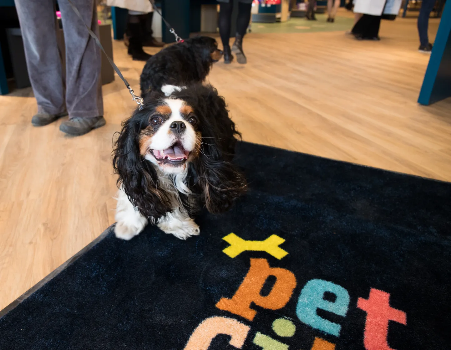 Pet City loomapoe avamine Tähesaju citys.