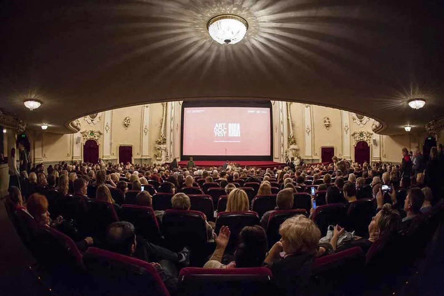 Artdocfest