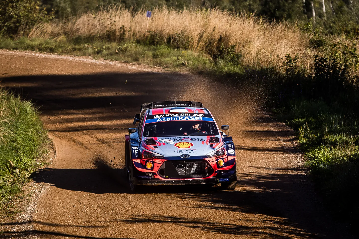 Ott Tänak Rally Estonial