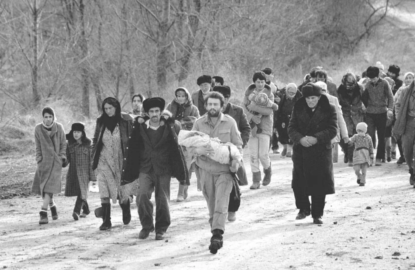 Artikli foto