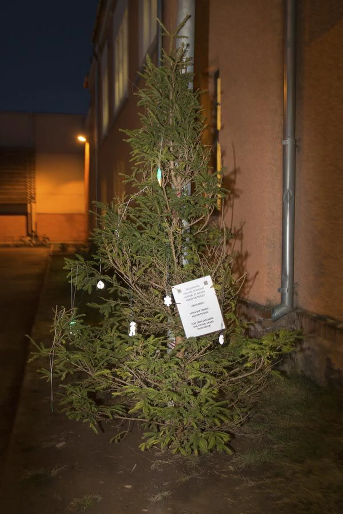 Helkuripuu huvikooli juures