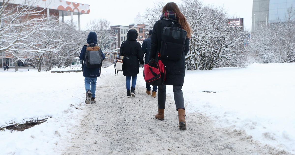 Tartlane kirub libedat tänavat, kuid kukub enamasti kodus