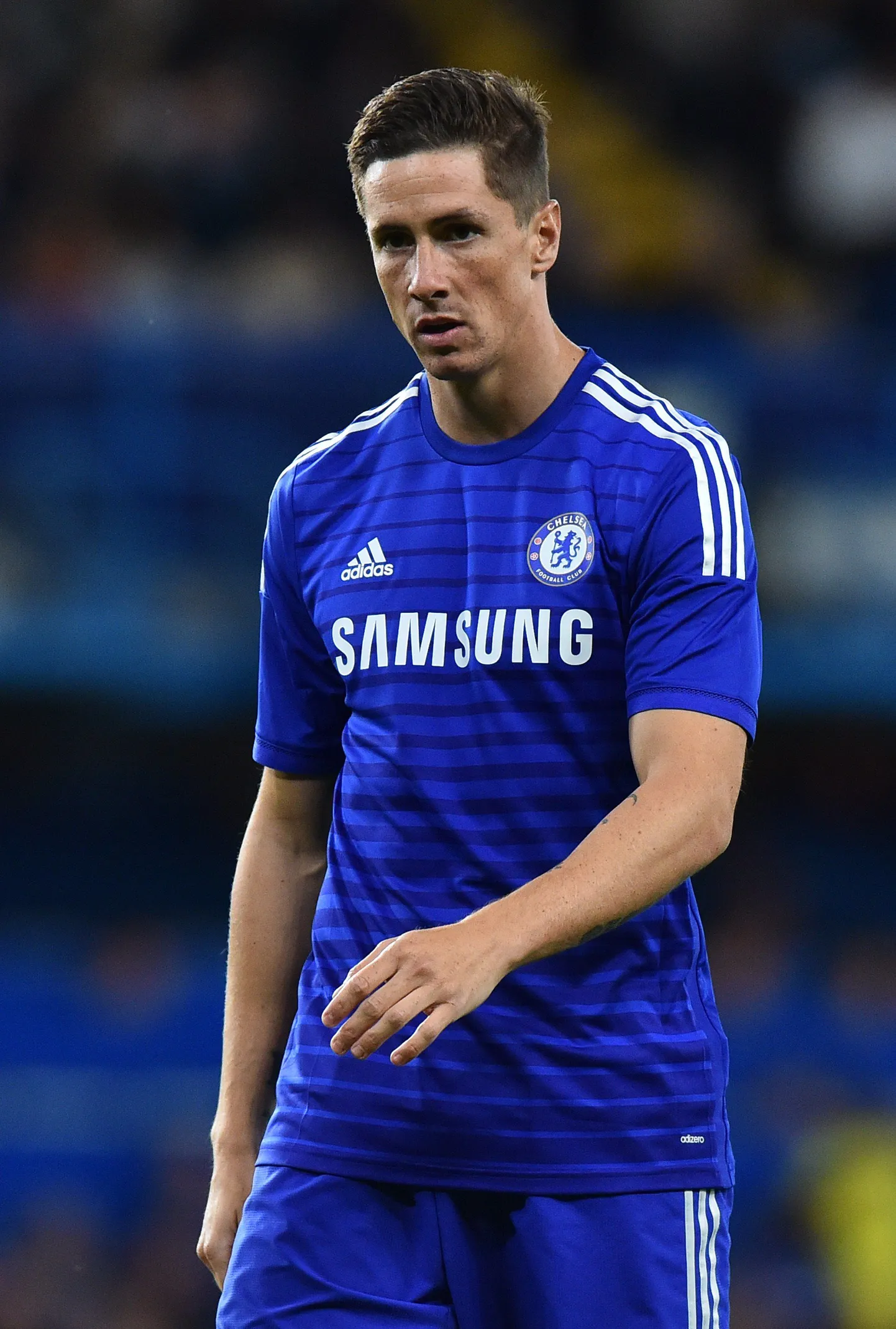 Fernando Torres.