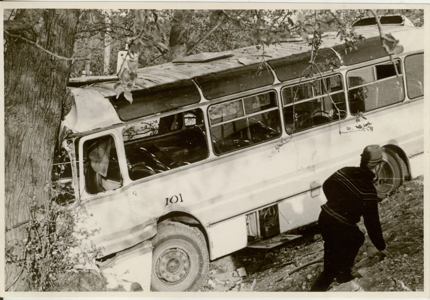 Artikli foto