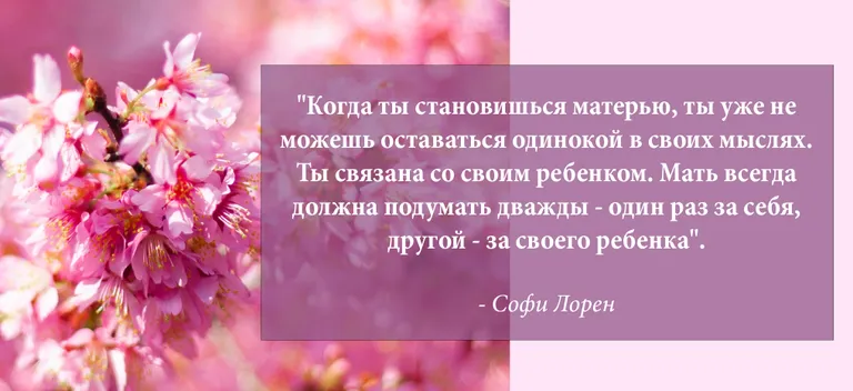 Фото статьи