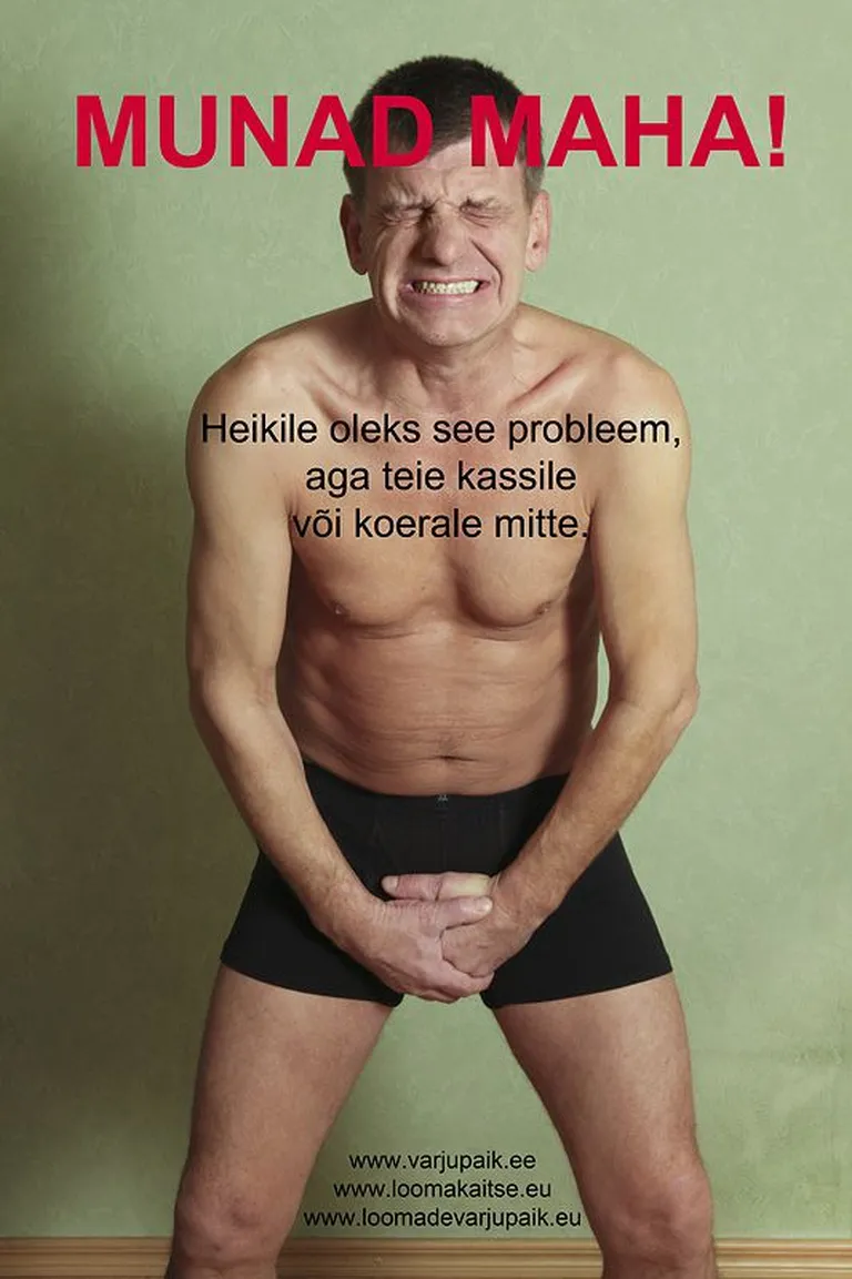 Artikli foto