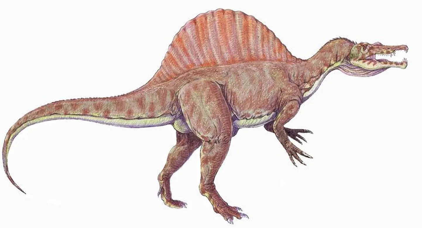 Spinosaurus