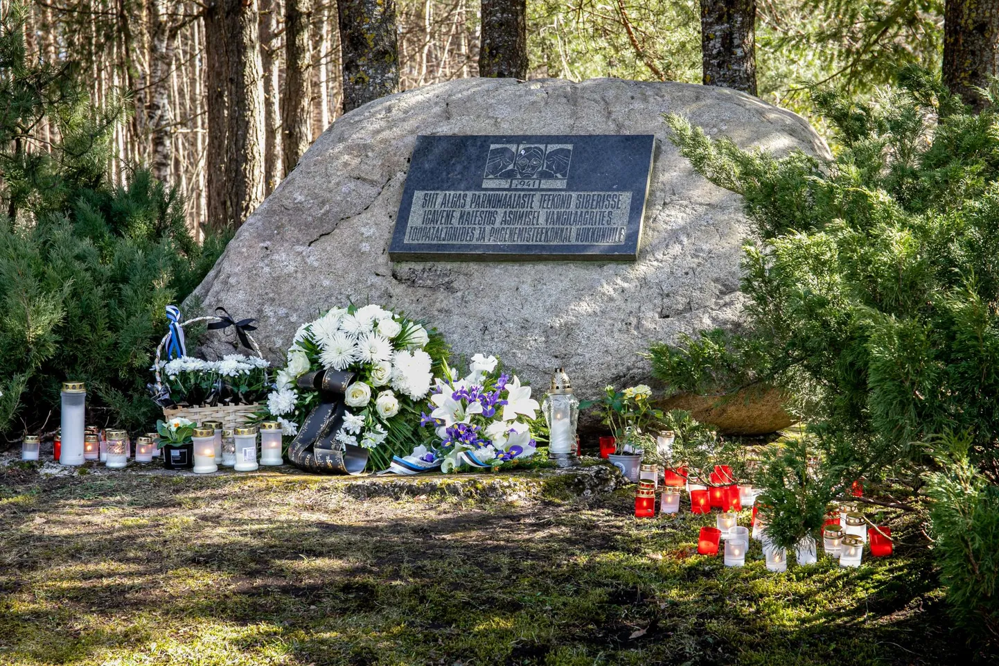 Tollaste sündmuste läbielanuid jääb vähemaks ja iga meenutus, iga mustvalge fotokilluke on väärtuslik, kirjutab Silvia Paluoja.