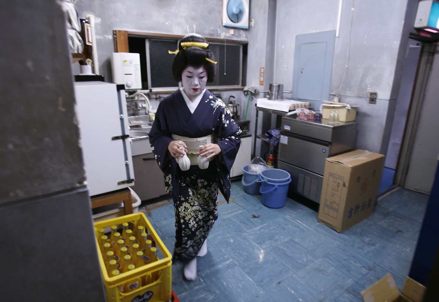 Jaapanlanna elas majaomaniku teadmata panipaigas