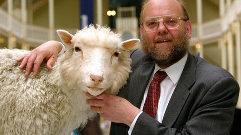 Suri lammas Dolly klooninud teadlaste rühma juht Ian Wilmut