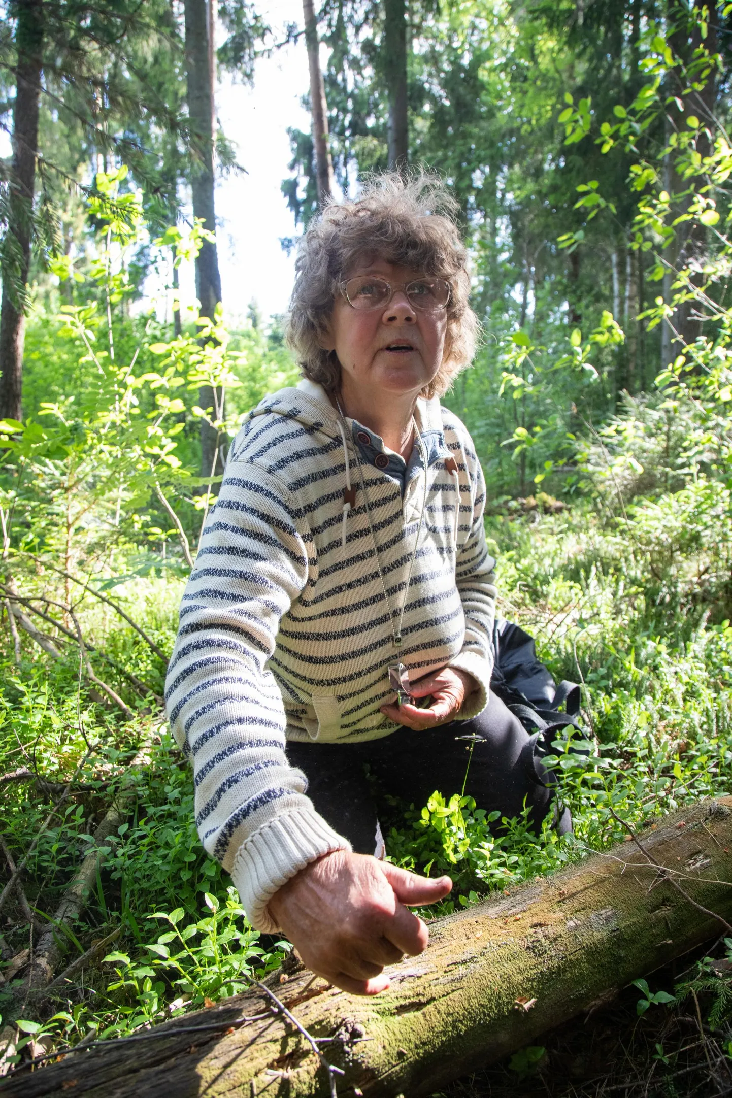 Litsentseeritud vääriselupaiga ekspert Ülle Kuldkepp leidis metsatukast mitu kaitsealust liiki.