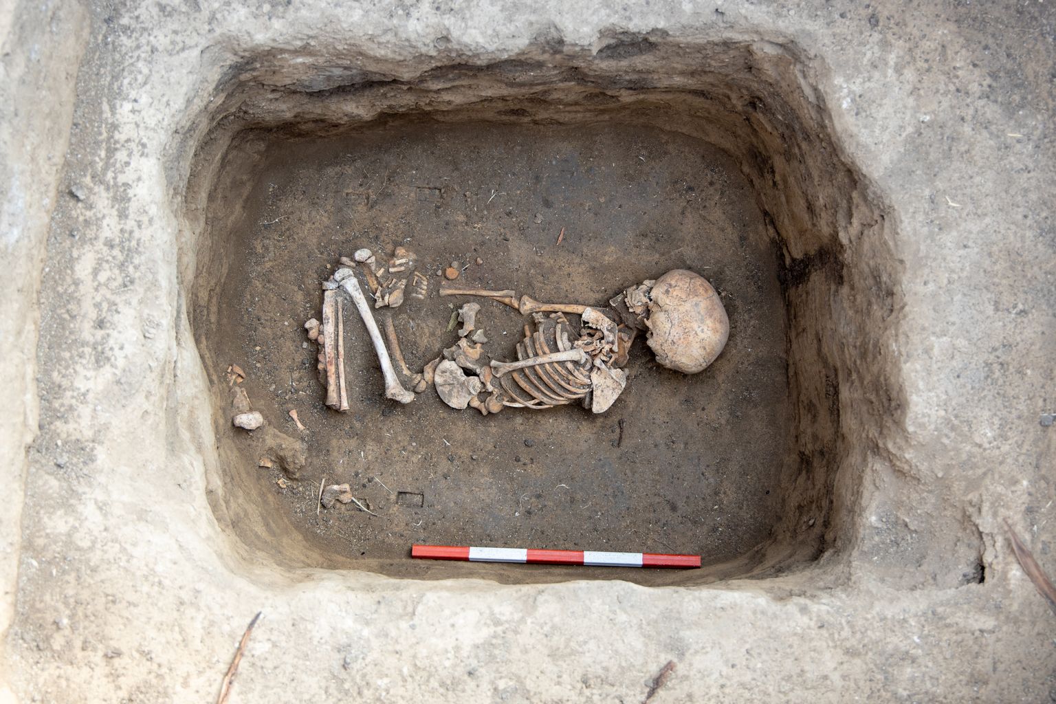 Arheoloogilised väljakaevamised, lapse skelett. Pilt on illustreeriv