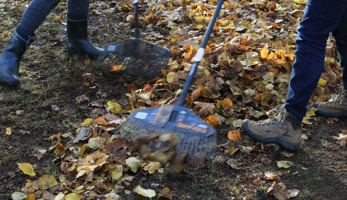 HOROSKOOP ⟩ Jäär põikleb kriitikanoolte eest, Kaljukits on enda suurim fänn