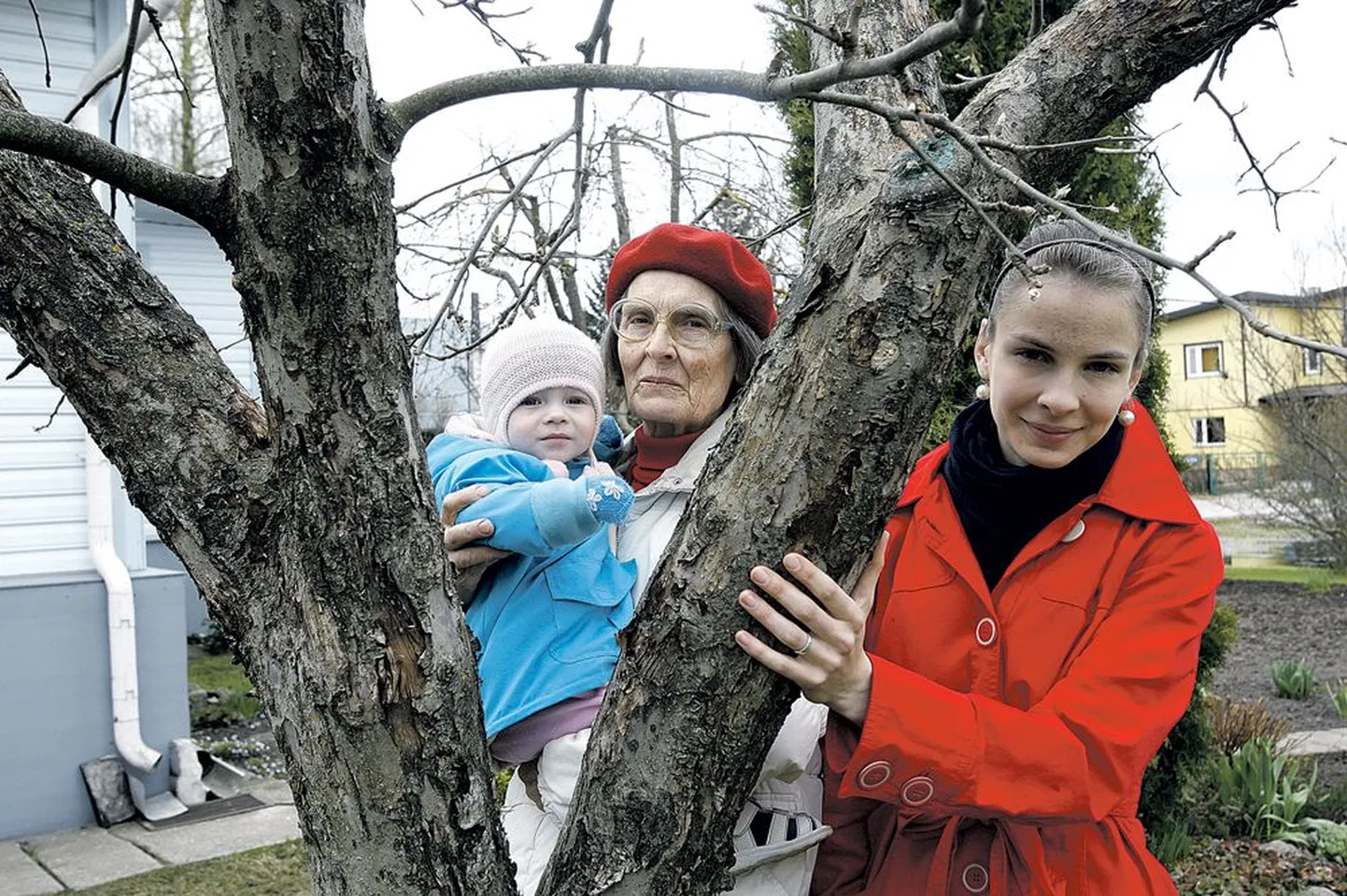 Vanaema Asta Teras hoiab süles väikest Kaisat, kes on tema tütretütre Kadri Teenu laps. Kadri ise silub käega valge klaari tüve, mida ta mäletab oma varasest lapsepõlvest saadik. Kodus ei ole paraku nooremat õde Kersti Teenut.