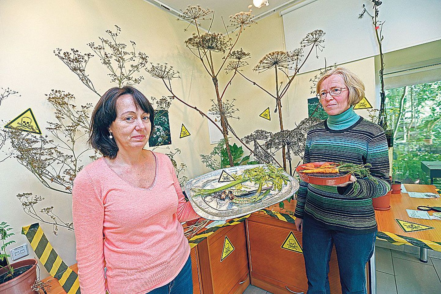 TÜ botaanikaaia aednik Kristine Fenske (vasakul) ja botaanik Kersti Tambets tutvustavad sarikaliste näitust.