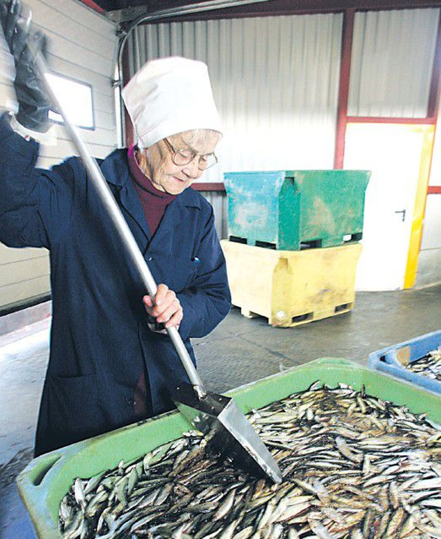Главный технолог Тийу Рикса имеет большой опыт работы в рыбной промышленности.