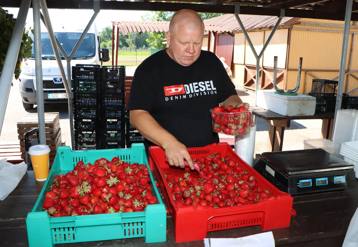 Marek Valter ei jäta maasikahooajal Jõhvis ühtegi turupäeva vahele.