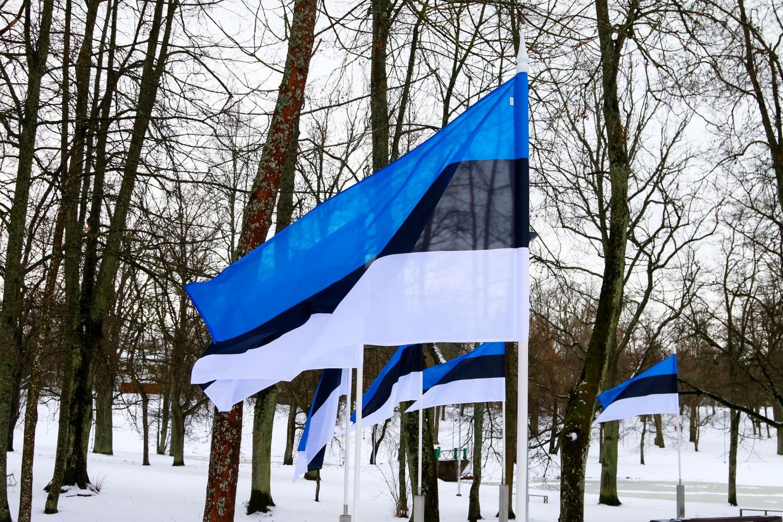 Valter Parve mõtiskleb Eesti riigi sünnipäeva eel meie-tunde murendajate üle. 