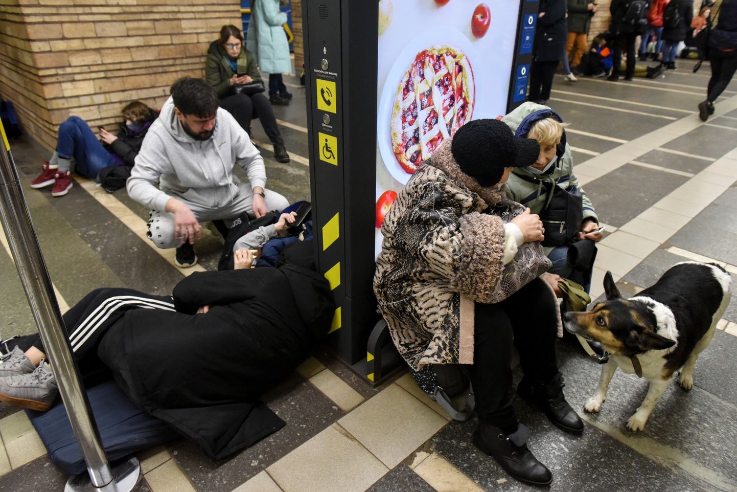 Pēc Krievijas iebrukuma Ukrainā cilvēki pavada nakti Kijevas metro.