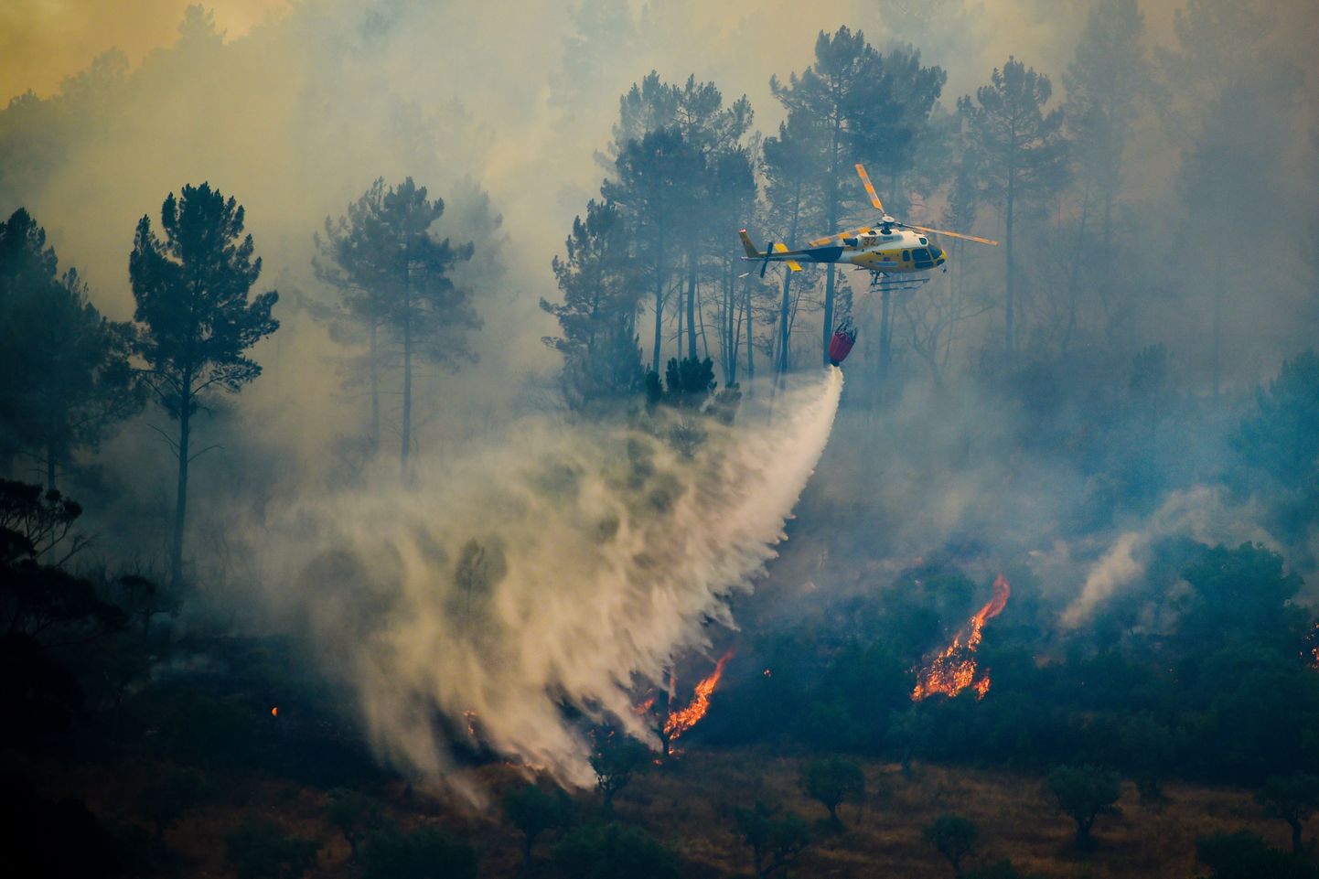 Вертолет над лесным пожаром в Португалии.
