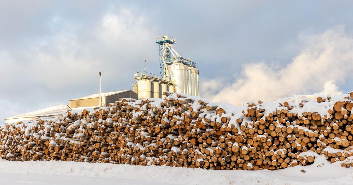 REPORTAAŽ ⟩ Unustage Lottemaa, tegelik leiutajateküla asub hoopis Imaveres