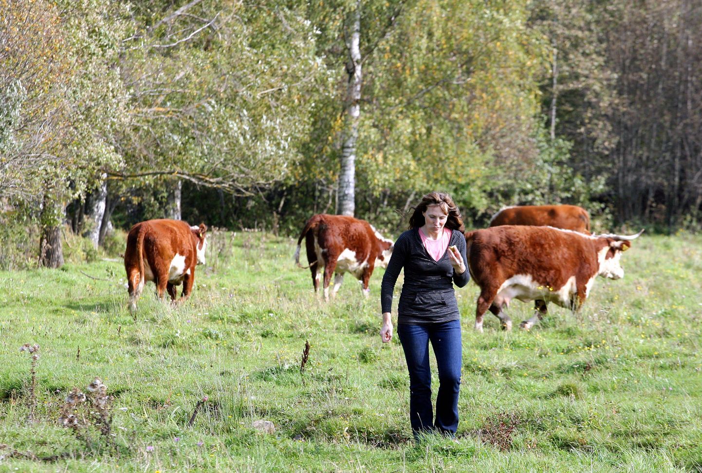 2012. aastal tunnustati Eesti parima mahetootja nimetusega Saariku talu, kelle perenaine on Tiia Klein.