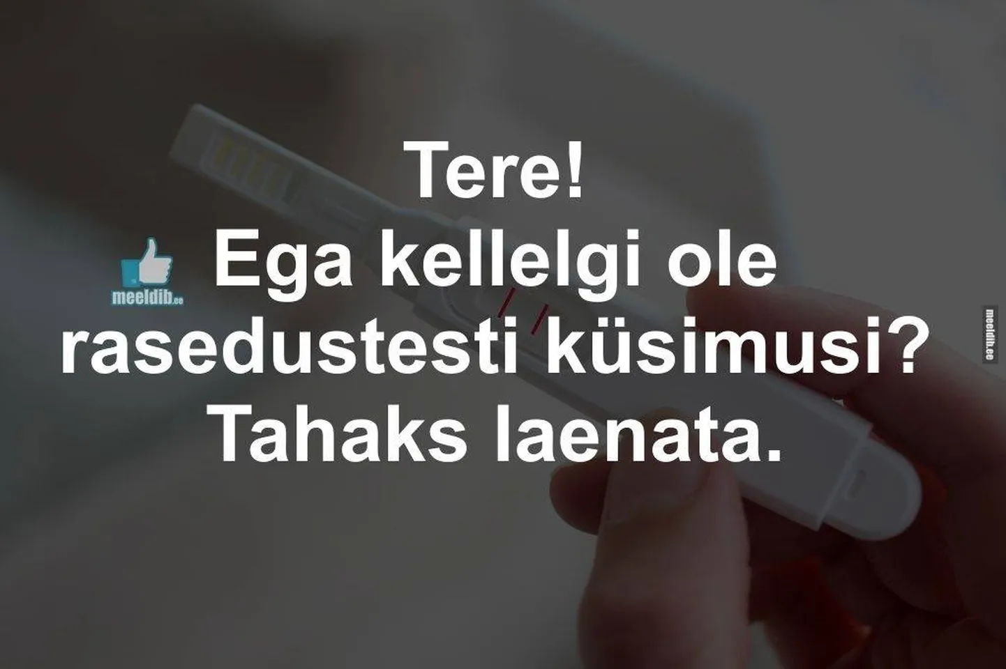Artikli foto