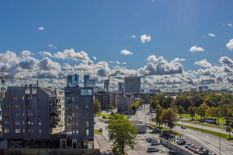 Фото статьи