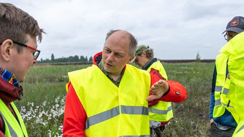 SOODE TAASTAMISE POOLT JA VASTU ⟩ Sooteadlane: metsa ei ole kerge ära tappa. Metsateadlane: tegu ei ole neutraalse protsessiga