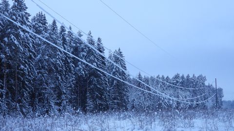 Внимание ⟩ В воскресенье электричество будет стоить в семь раз дороже, чем в Финляндии